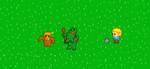 SURVIVAL SOCCER