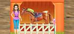 HORSE CARE AND RIDING