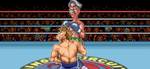 SUPER PUNCH OUT!