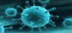 PANDEMIC