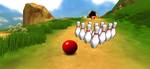 DOWNHILL BOWLING