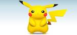 POKEMON CAMPAIGN