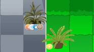 KOUBACHI Keep your plants healthy! Just drag and drop water, fertilizer and other things to eeach plant, according to its desired light and heat. Have fun! Game Controls: Mouse