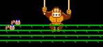 DONKEY KONG CLASSICS
