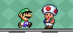 LUIGI'S MISADVENTURES