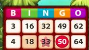 If you like Bingo, you’ll surely love this game. Observe the numbers, mark them on your card and as soon as you get the Bingo, let others know […]