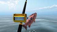 It’s time for relax at the lakeside. Grab your fishing road, get into the boat and try to catch some fish! The game is a perfect 3D simulation […]