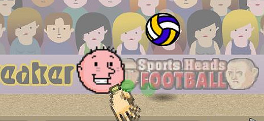 SPORTS HEADS BASKETBALL [NO FLASH]