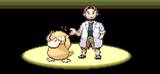 POKEMON RUN & BUN