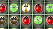 BUG MATCH A funny ‘match-three’ game featuring cute insects. Just move them to match identical ones to clear the area. Have fun! Game Controls: Mouse