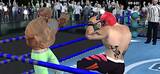 WRESTLING REVOLUTION ARENA