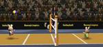 bunnylimpics-volleyball