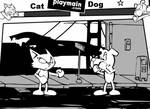 CAT VS DOG FIGHTER CAT VS DOG FIGHTER