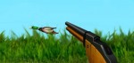 THE DUCK HUNTER THE DUCK HUNTER