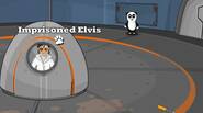 Who owns the time machine? It looks like Elvis could… Well, to really get to know that, you must play this game. This time Panda has to find […]