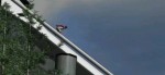 ski_jump SKI JUMP DX